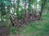 Yorkshire Sculpture Park, June 2007. Might not be sculpture, but a nice way to arrange a pile of deadwood for insects