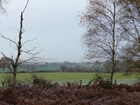 Fletching village and church from Piltdown