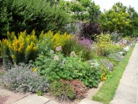 Mixed border at Herstmonceux Castle