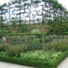 The walled garden at Alnwick Garden