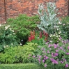 The walled garden at Alnwick Garden