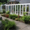 The \"Palm House\" at Cragside