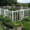 The \"Palm House\" at Cragside