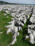 Limestone pavement above Malham Cove