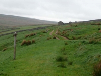 Heading north out of Keld, over Black Moor, towards Tan Hill