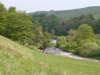 The River South Tyne at the start of day 14 near Garrigill