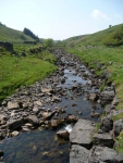 One of the many little vallies and streams running into the River South Tyne