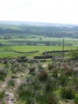 Looking south from below Shitlington Crags