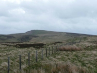 The border fence