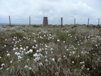 The (Scottish) trig point near King\'s Seat