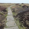 The path up and across Black Hill