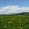 Pasture to the south of Malham