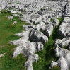 Limestone pavement above Malham Cove