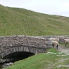 The bridge over Ling Gill