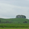 Farmland to the north of Hawes