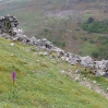 Orchid and old mine workings to the north of Kisdon