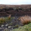 The peat of Stonesdale Moor