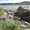 The River Tees near Langdon Beck, close to the end of day 11