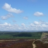 Heading down to the forests near Kielder Water