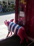 Bath Rugby Pig by Elizabeth Knott