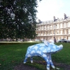 Sky Blue Pig by John Garrihy