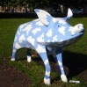 Sky Blue Pig by John Garrihy