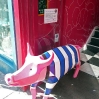 Bath Rugby Pig by Elizabeth Knott