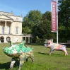 Suidae Sulis by Emily Cant (background) and Happy Pig by Sophie Howard (foreground)