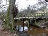 Pooh Bridge