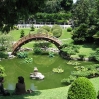 Japanese garden at Huntington Botanic Gardens