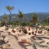 Seaside Gardens in Carpinteria