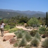 Seaside Gardens in Carpinteria