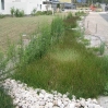 New landscaping with sustainable drainage around UCSB accommodation blocks