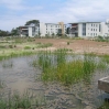 New landscaping with sustainable drainage around UCSB accommodation blocks