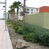 New landscaping with sustainable drainage around UCSB accommodation blocks