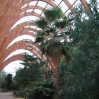 Sheffield Winter Garden