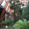 Sheffield Winter Garden