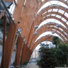 Sheffield Winter Garden