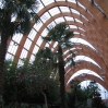 Sheffield Winter Garden