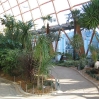 Sheffield Winter Garden