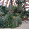 Sheffield Winter Garden