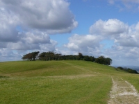 Chanctonbury Ring