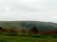 The Iron Age Fort in the mist at Old Winchester Hill