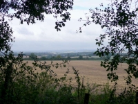 A view to the north near Winchester