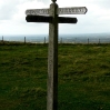 Still on the right route along the South Downs Way