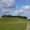 Chanctonbury Ring