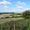 The rolling downland of the western end of the South Downs