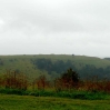 The Iron Age Fort in the mist at Old Winchester Hill