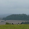 A view across the South Downs