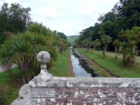 An avenue of Cordylines at Castle Kennedy